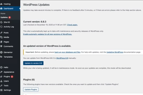 Pantalla de actualizaciones de WordPress con aviso de nueva versión y plugins, para mantenimiento web